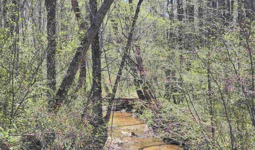 Photo #3 of Lot 15B BENT CREEK LN, BUMPASS, VA 28.0 acres