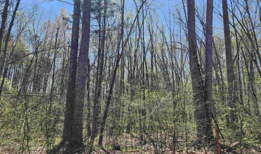 Photo #6 of Lot 15B BENT CREEK LN, BUMPASS, VA 28.0 acres
