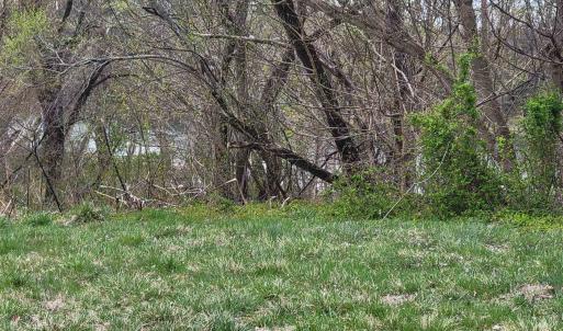 Photo #3 of TBD MORRISON RD, SHENANDOAH, VA 0.3 acres