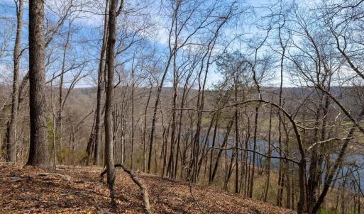 Photo #6 of 1280 JONES OVERLOOK, HOWARDSVILLE, VA 5.0 acres