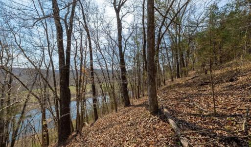 Photo #5 of 1280 JONES OVERLOOK, HOWARDSVILLE, VA 5.0 acres