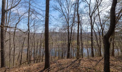 Photo #9 of 1280 JONES OVERLOOK, HOWARDSVILLE, VA 5.0 acres