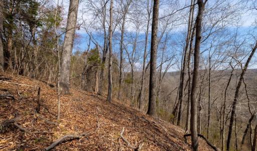 Photo #7 of 1280 JONES OVERLOOK, HOWARDSVILLE, VA 5.0 acres