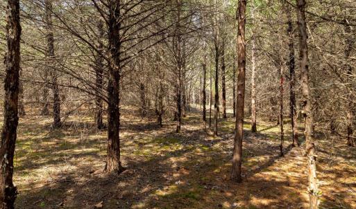 Photo #3 of 1280 JONES OVERLOOK, HOWARDSVILLE, VA 5.0 acres