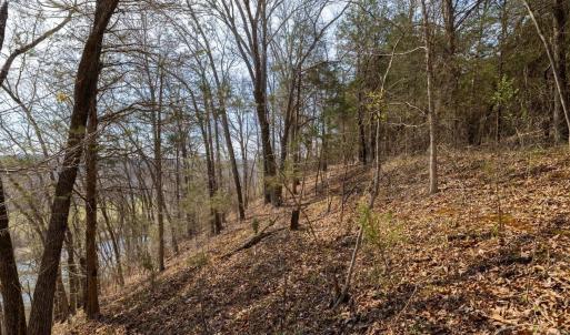 Photo #4 of 1280 JONES OVERLOOK, HOWARDSVILLE, VA 5.0 acres
