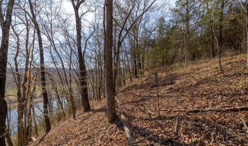 Photo #8 of 1280 JONES OVERLOOK, HOWARDSVILLE, VA 5.0 acres