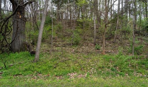 Photo #17 of TBD RIVER VIEW RD, SHENANDOAH, VA 1.0 acres