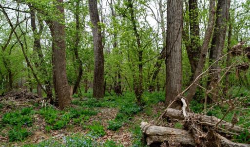Photo #23 of TBD RIVER VIEW RD, SHENANDOAH, VA 1.0 acres