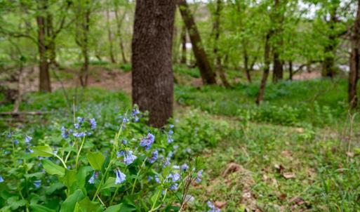 Photo #19 of TBD RIVER VIEW RD, SHENANDOAH, VA 1.0 acres