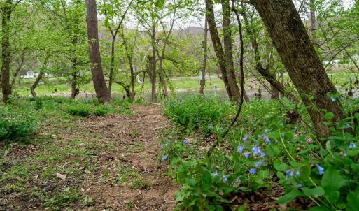 Photo #21 of TBD RIVER VIEW RD, SHENANDOAH, VA 1.0 acres
