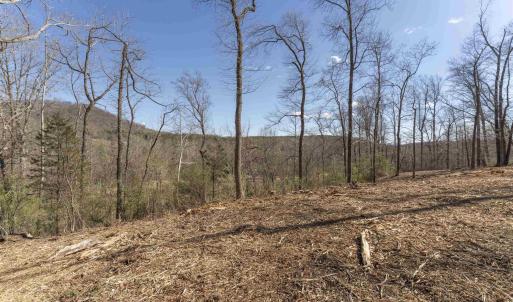 Photo #8 of Lot 3 ROCKFISH VALLEY HWY, AFTON, VA 4.2 acres