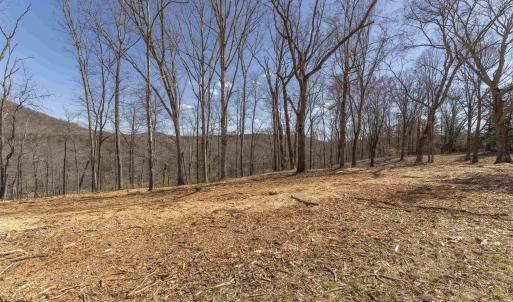 Photo #3 of Lot 3 ROCKFISH VALLEY HWY, AFTON, VA 4.2 acres
