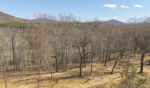 Photo #4 of Lot 3 ROCKFISH VALLEY HWY, AFTON, VA 4.2 acres