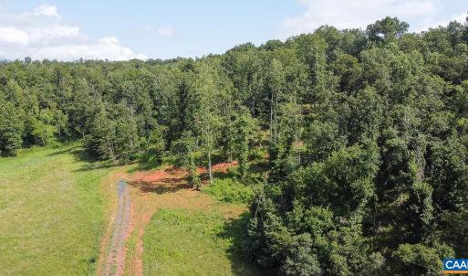 Photo #7 of WILLOW BRANCH LN, FABER, VA 17.3 acres