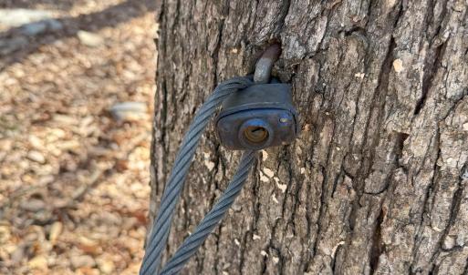 Photo #16 of TBD SHOTGUN SPRING RD, NEW MARKET, VA 5.0 acres