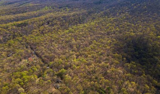 Photo #12 of TBD SHOTGUN SPRING RD, NEW MARKET, VA 5.0 acres