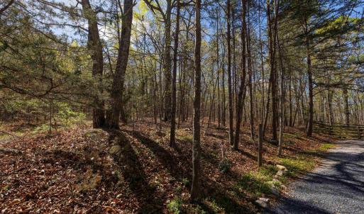 Photo #1 of TBD SHOTGUN SPRING RD, NEW MARKET, VA 5.0 acres