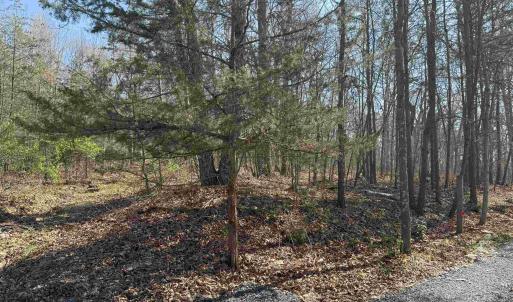 Photo #14 of TBD SHOTGUN SPRING RD, NEW MARKET, VA 5.0 acres