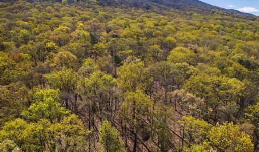 Photo #10 of TBD SHOTGUN SPRING RD, NEW MARKET, VA 5.0 acres