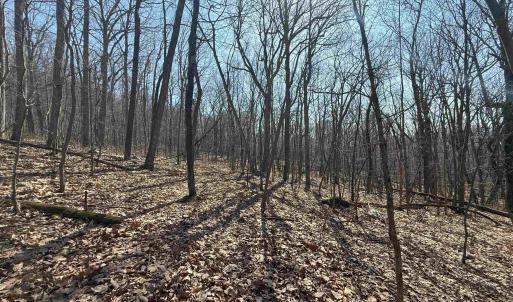 Photo #25 of TBD SHOTGUN SPRING RD, NEW MARKET, VA 5.0 acres