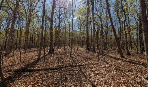 Photo #5 of TBD SHOTGUN SPRING RD, NEW MARKET, VA 5.0 acres