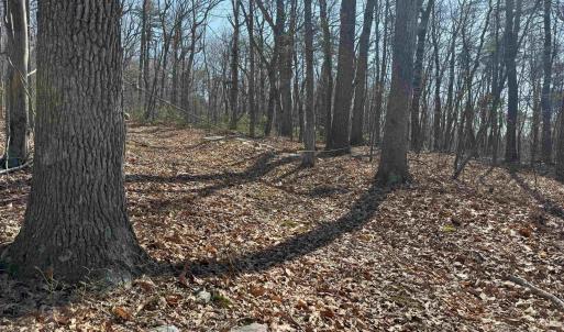 Photo #17 of TBD SHOTGUN SPRING RD, NEW MARKET, VA 5.0 acres