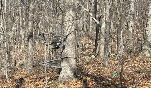 Photo #23 of TBD SHOTGUN SPRING RD, NEW MARKET, VA 5.0 acres