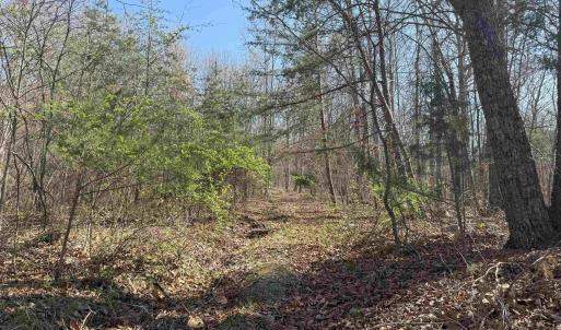 Photo #15 of TBD SHOTGUN SPRING RD, NEW MARKET, VA 5.0 acres