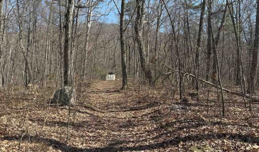 Photo #20 of TBD SHOTGUN SPRING RD, NEW MARKET, VA 5.0 acres
