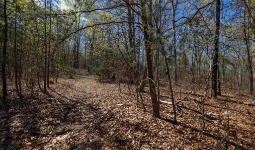 Photo #3 of TBD SHOTGUN SPRING RD, NEW MARKET, VA 5.0 acres