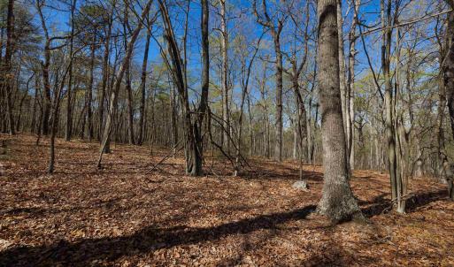 Photo #4 of TBD SHOTGUN SPRING RD, NEW MARKET, VA 5.0 acres
