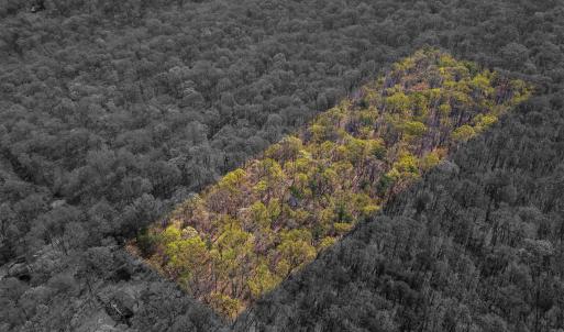 Photo #7 of TBD SHOTGUN SPRING RD, NEW MARKET, VA 5.0 acres