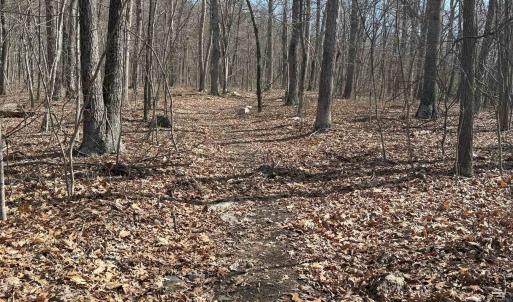 Photo #24 of TBD SHOTGUN SPRING RD, NEW MARKET, VA 5.0 acres