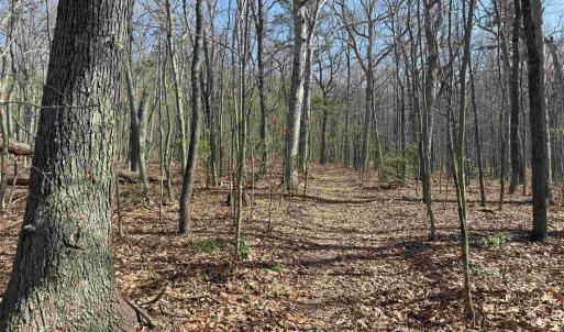 Photo #19 of TBD SHOTGUN SPRING RD, NEW MARKET, VA 5.0 acres