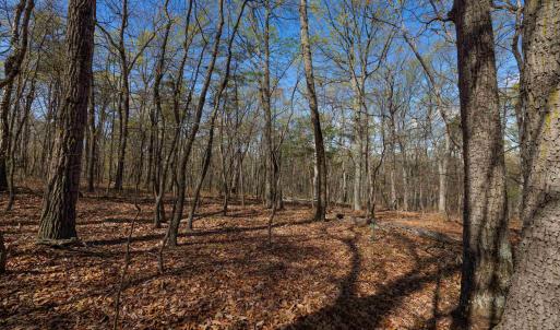 Photo #6 of TBD SHOTGUN SPRING RD, NEW MARKET, VA 5.0 acres