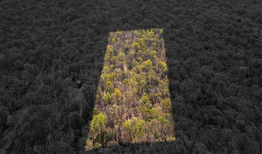 Photo #8 of TBD SHOTGUN SPRING RD, NEW MARKET, VA 5.0 acres