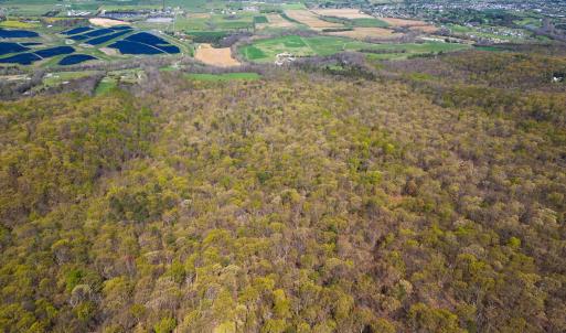 Photo #13 of TBD SHOTGUN SPRING RD, NEW MARKET, VA 5.0 acres