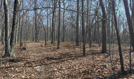 Photo #18 of TBD SHOTGUN SPRING RD, NEW MARKET, VA 5.0 acres