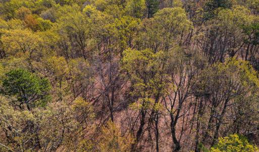 Photo #9 of TBD SHOTGUN SPRING RD, NEW MARKET, VA 5.0 acres
