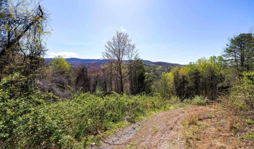 Photo #53 of Off JOLLETT RD, ELKTON, VA 18.0 acres