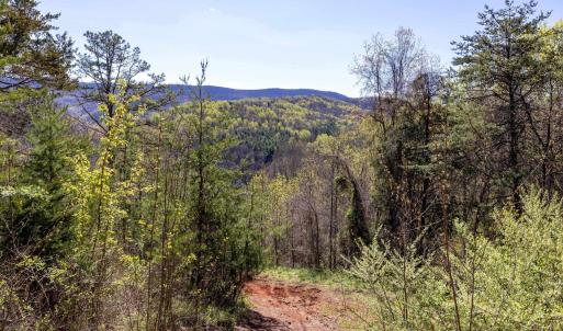 Photo #50 of Off JOLLETT RD, ELKTON, VA 18.0 acres