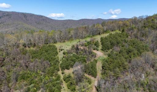 Photo #20 of Off JOLLETT RD, ELKTON, VA 18.0 acres