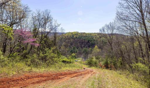 Photo #42 of Off JOLLETT RD, ELKTON, VA 18.0 acres