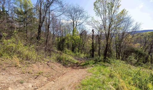 Photo #48 of Off JOLLETT RD, ELKTON, VA 18.0 acres