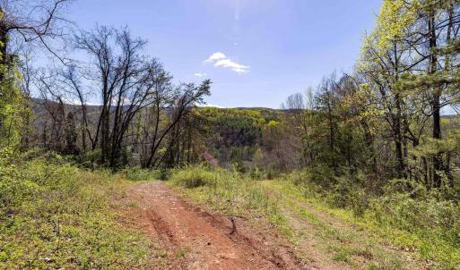 Photo #45 of Off JOLLETT RD, ELKTON, VA 18.0 acres