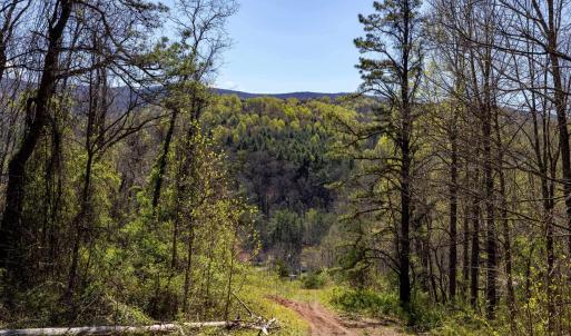 Photo #46 of Off JOLLETT RD, ELKTON, VA 18.0 acres