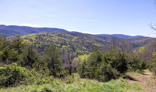 Photo #61 of Off JOLLETT RD, ELKTON, VA 18.0 acres