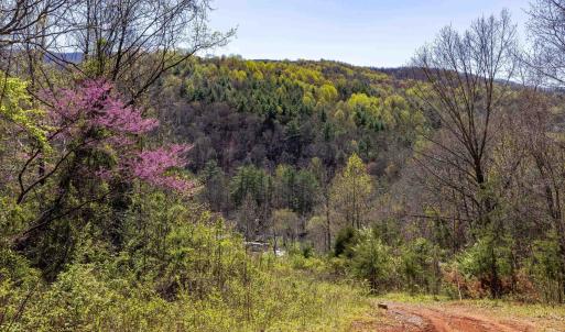 Photo #43 of Off JOLLETT RD, ELKTON, VA 18.0 acres