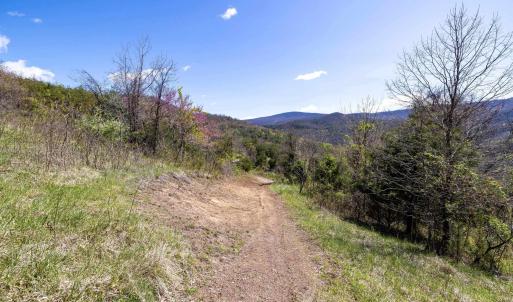 Photo #58 of Off JOLLETT RD, ELKTON, VA 18.0 acres