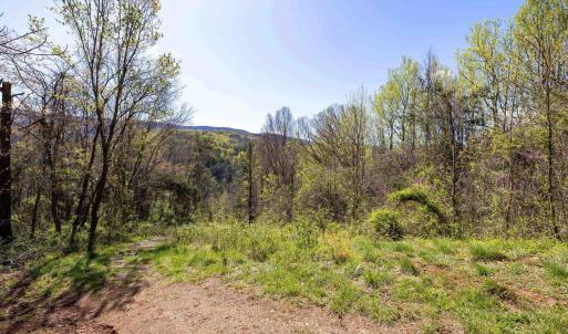 Photo #49 of Off JOLLETT RD, ELKTON, VA 18.0 acres